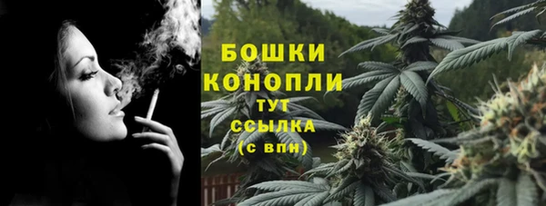 гидра Инсар