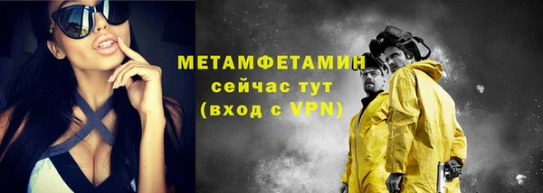 гидра Инсар
