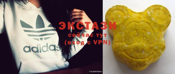 гидра Инсар