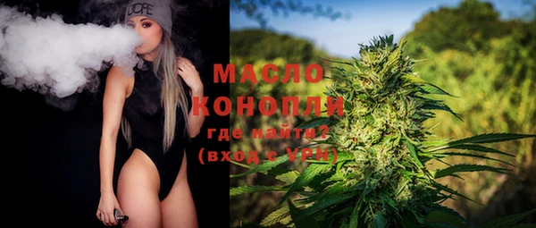 гидра Инсар