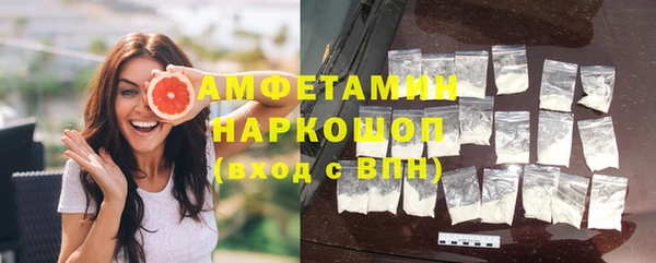 гидра Инсар