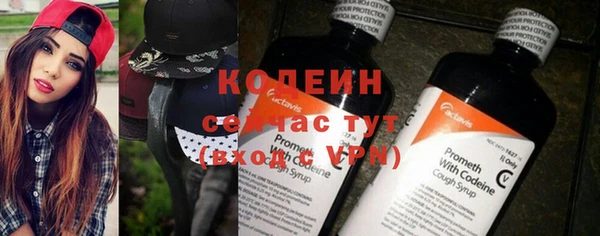 гидра Инсар