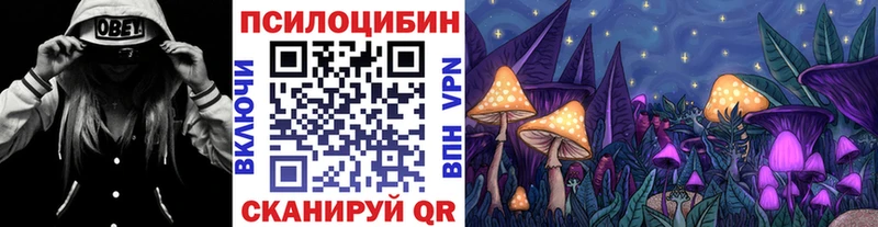 Купить где  Усть-Джегута  Псилоцибиновые грибы Psilocybe 